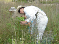 Photo of Monarch monitoring training