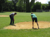 Volunteers searching for wasp nests in
					a sandy area