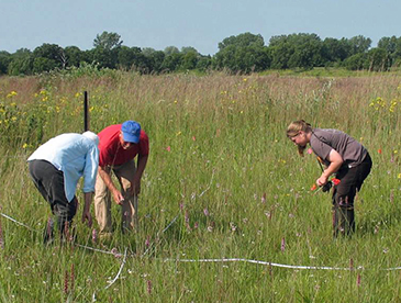 conducting plant surveys at Chiwaukee Prairie
