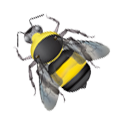 bee clipart