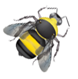 bee clipart