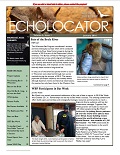 Cover of January 2016 newsletter