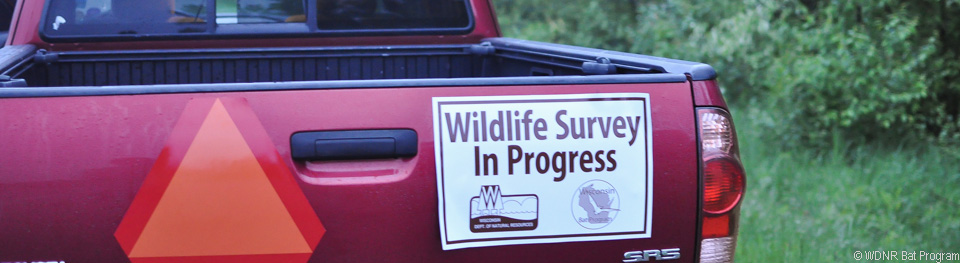 image of wildlife surveys magnet on truck