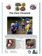 Cover of Winter 2019 Clam Chronicle newsletter