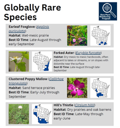 cover of globally rare species document