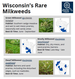cover of milkweed list document