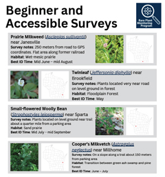cover of beginner surveys document